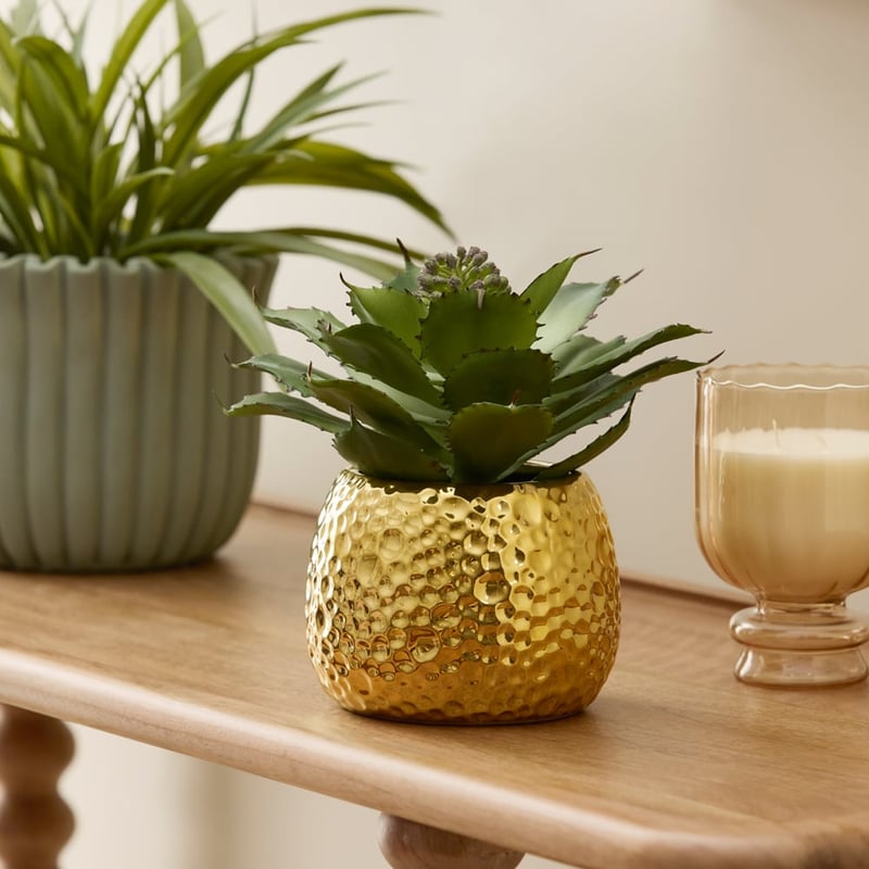Gold & Green Brass Potted Succulent