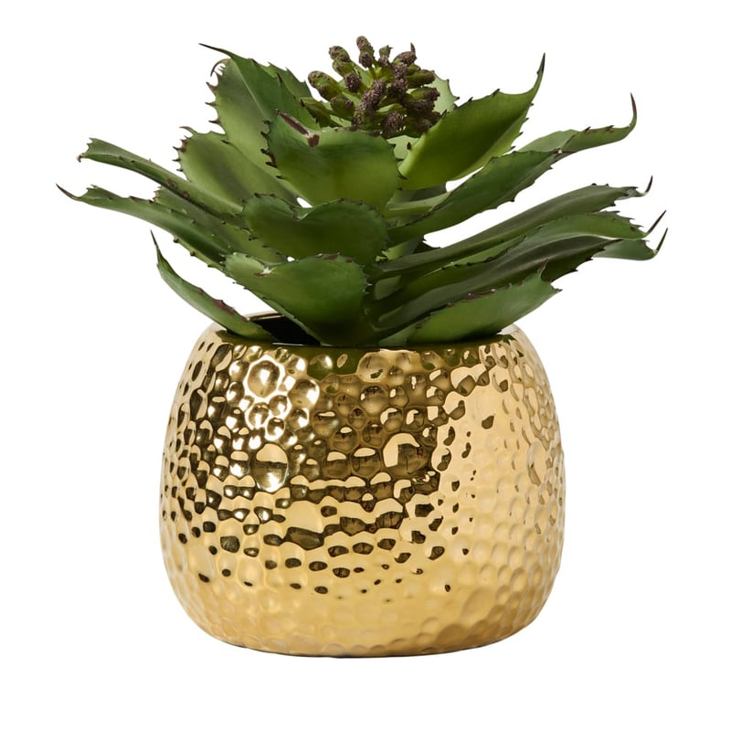 Gold & Green Brass Potted Succulent