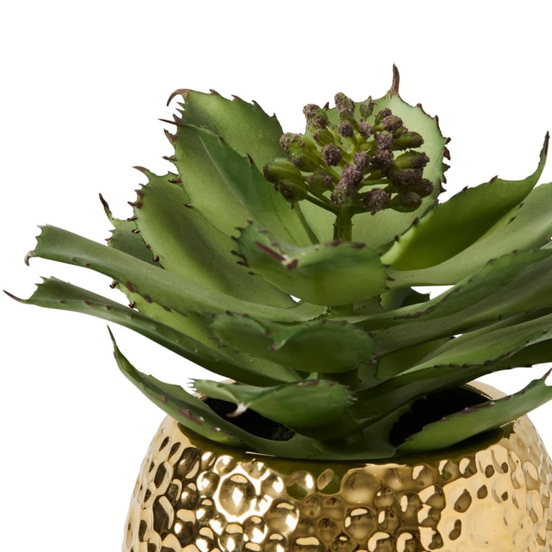 Gold & Green Brass Potted Succulent