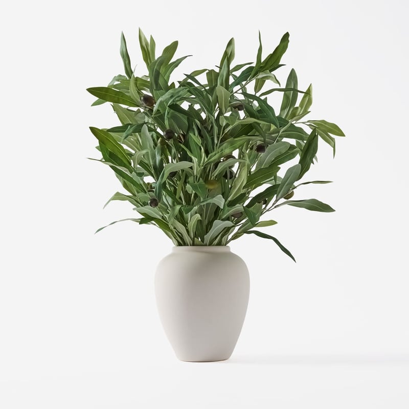 Green Flower Olive Stems In Ceramic Vase