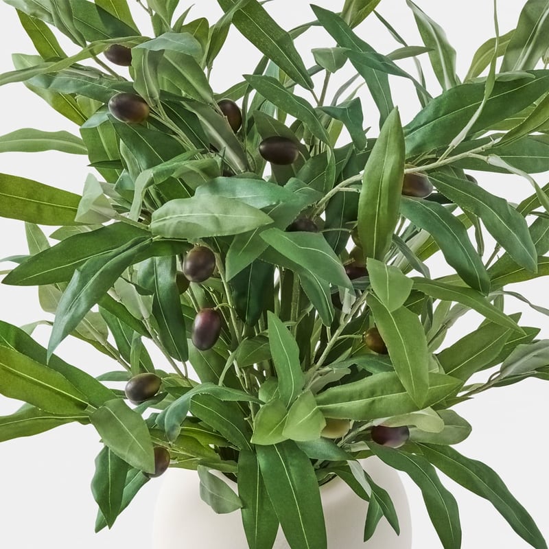 Green Flower Olive Stems In Ceramic Vase