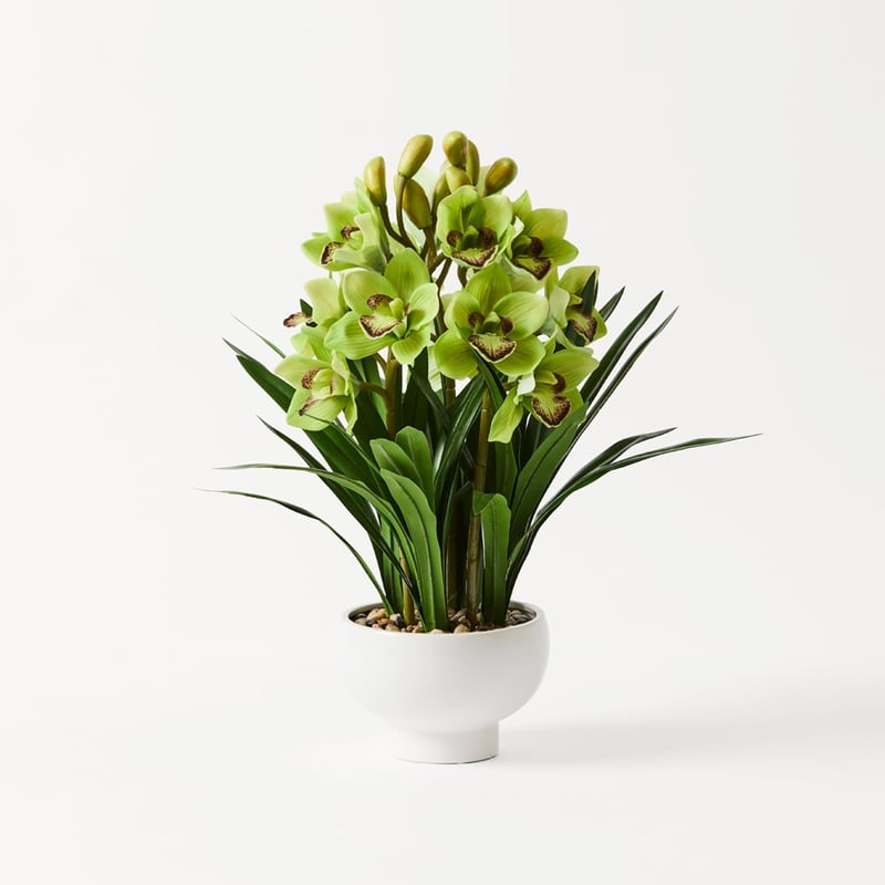 Green Orchid in Ceramic Vase