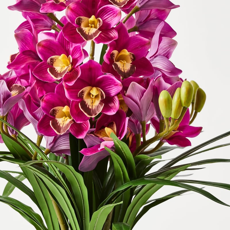 Purple Orchid in Ceramic Vase