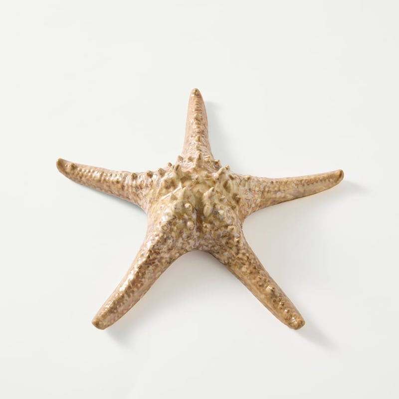 Marine Brown Starfish