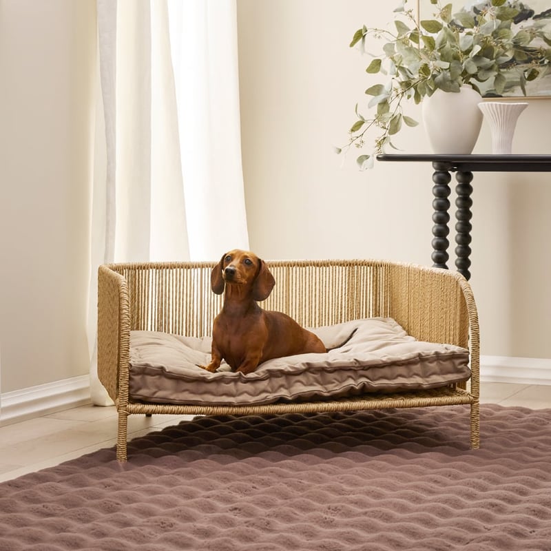 Oasis Fern Pet Bed Cushion