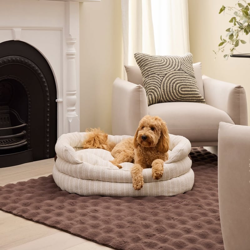 Ziggy Brooke Beige Pet Bed