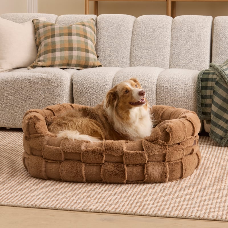 Ziggy Clea Macchiato Pet Bed