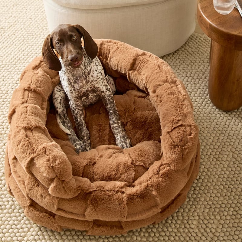 Ziggy Clea Macchiato Pet Bed