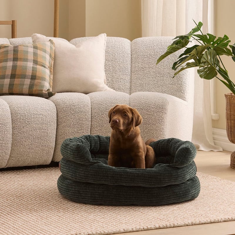 Ziggy Rosedale Deep Forest Pet Bed