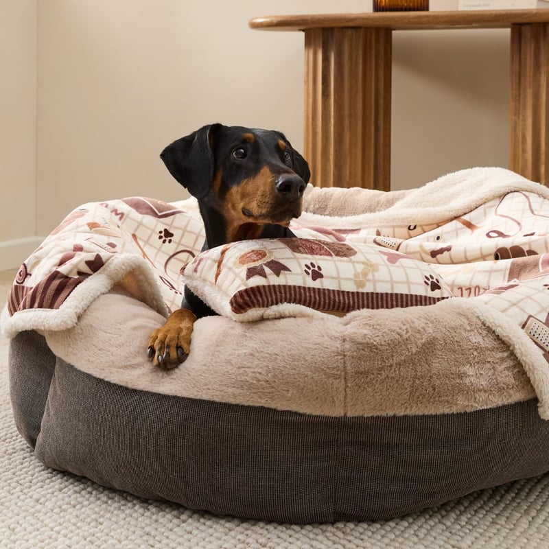 Maisy Best Friends Chocolate Pet Blanket