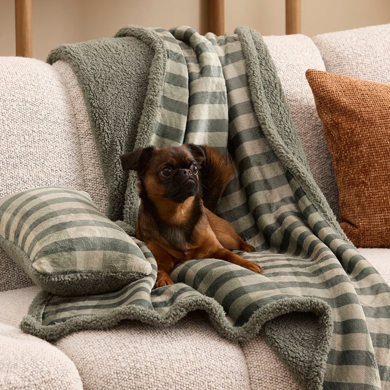 Maisy Green Tile Pet Blanket
