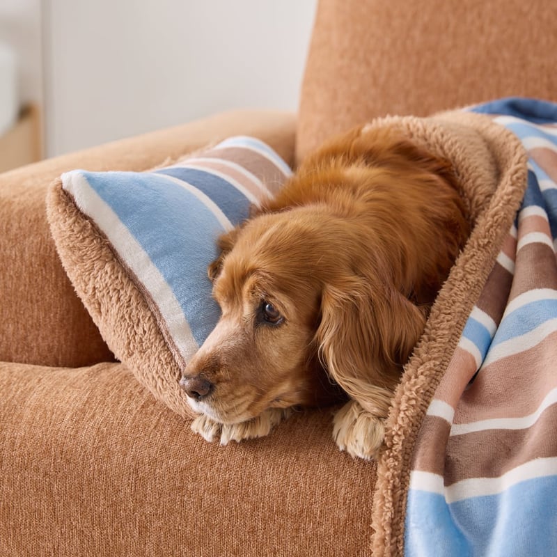Maisy Pet Blanket Sunlit Stripe