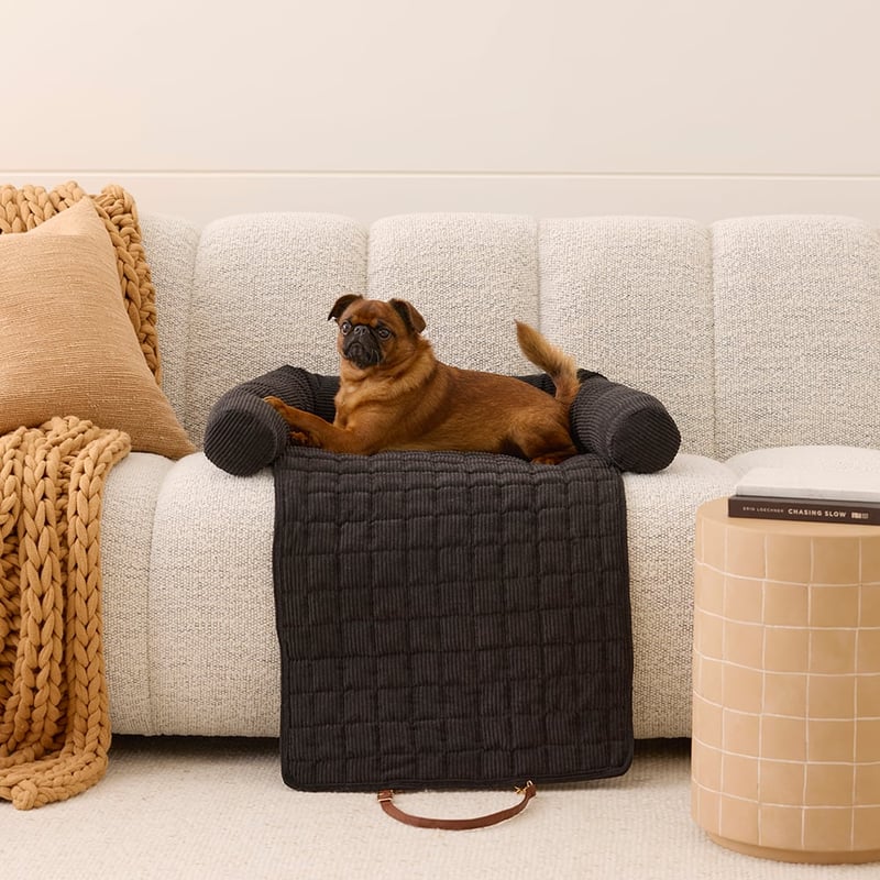 Maisy Black Corduroy Fold-Out Pet Bed