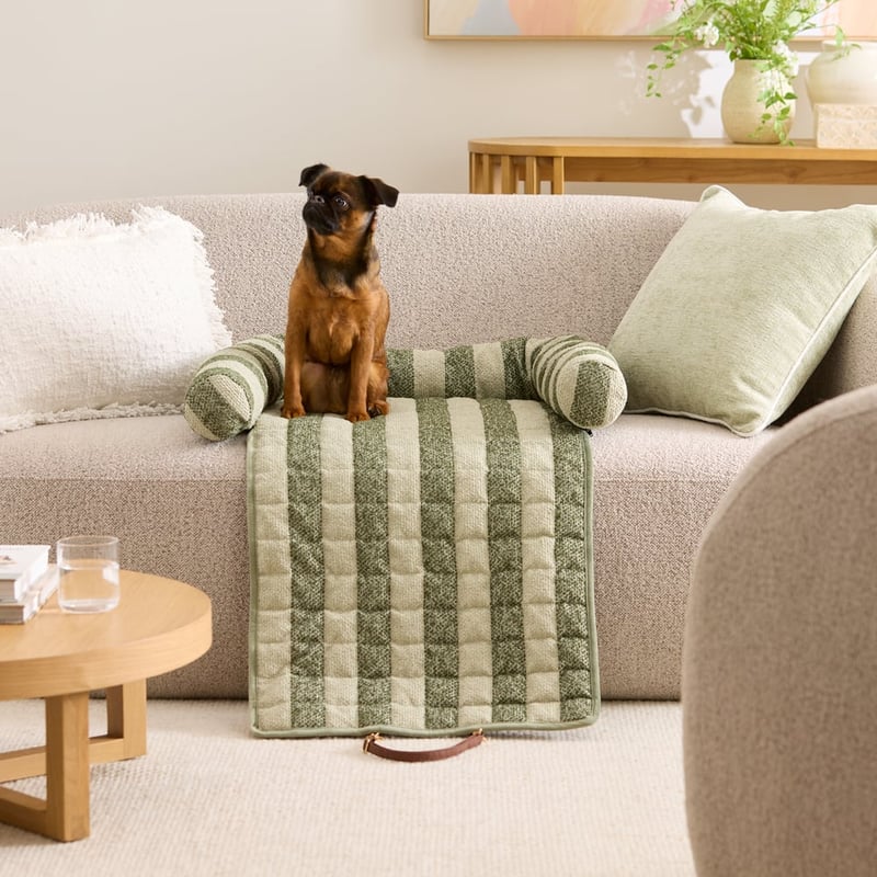Maisy Forest & Sage Stripe Fold Out Pet Bed