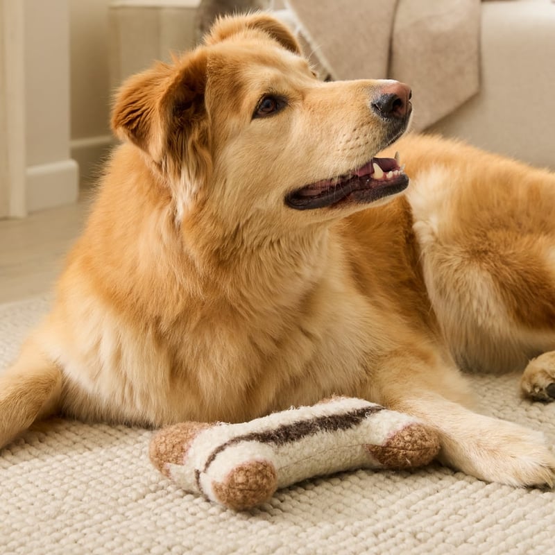 Bailey Mocha Stripe Large Pet Toy