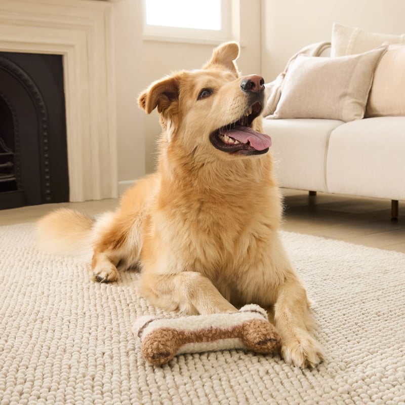 Bailey Mocha Stripe Large Pet Toy