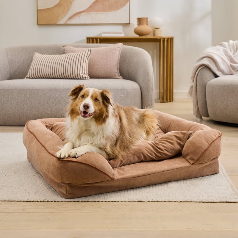Adeline Latte Pet Bed
