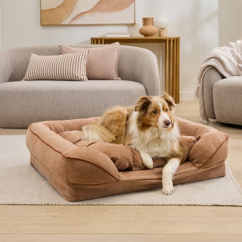 Adeline Latte Pet Bed