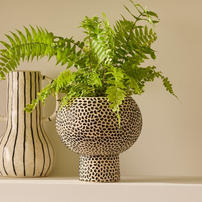 Animalia Black & Natural Pedestal Pot