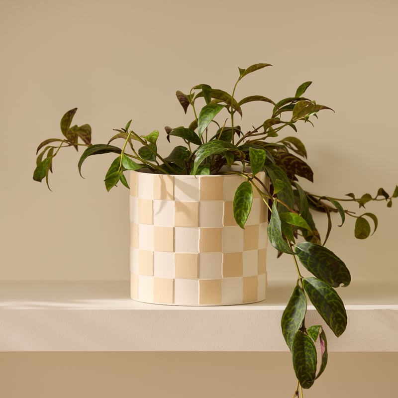 Checkerboard Natural & White Pot