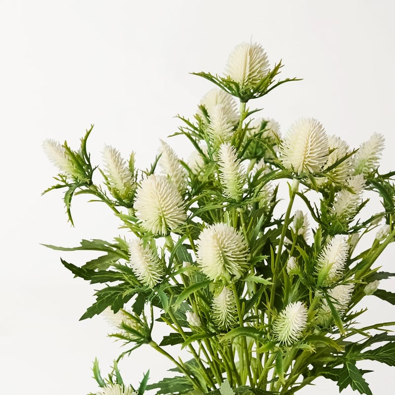 White Native Flowers in Ceramic Vase