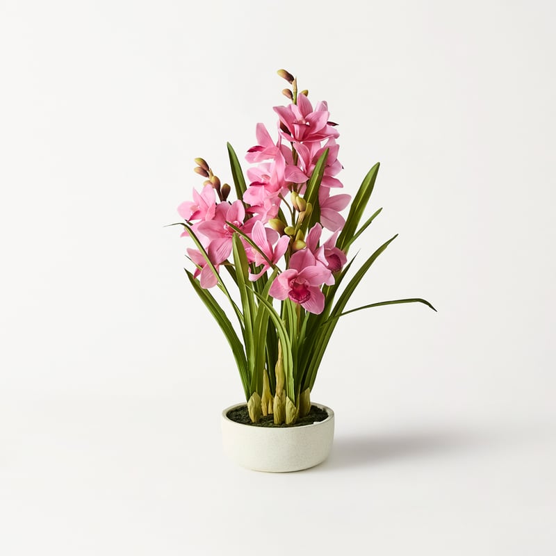 Cymbidium Pink 3 Spray in Ceramic Pot