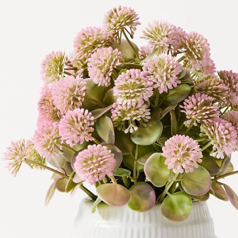 Pink Globe Amaranth Flowers in Ceramic Vase