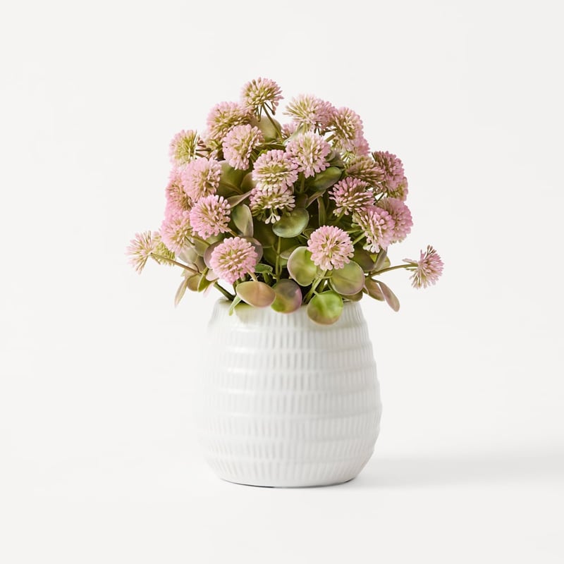 Pink Globe Amaranth Flowers in Ceramic Vase