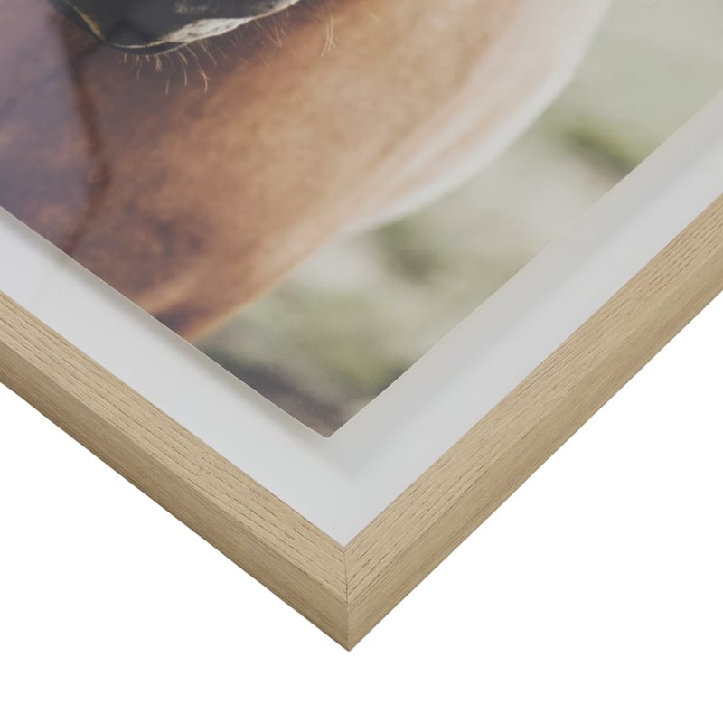 Flinders Framed Horse Wall Art