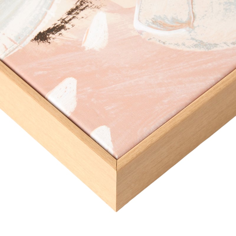 Daisy Blush Dreamscape Canvas