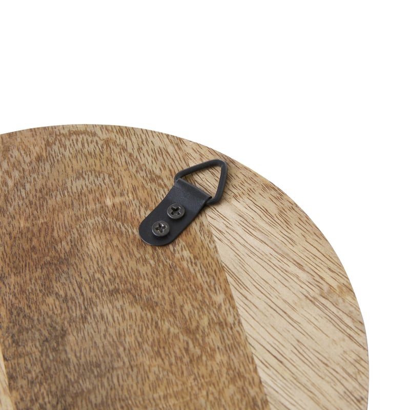 Birdhouse Budgie Timber Wall Art