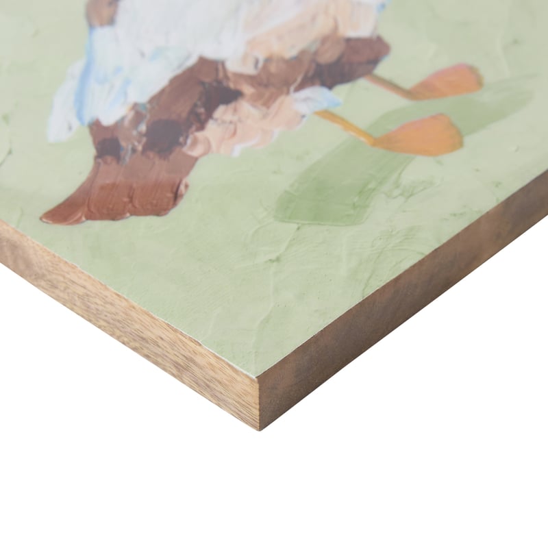 Birdhouse Duck Timber Wall Art