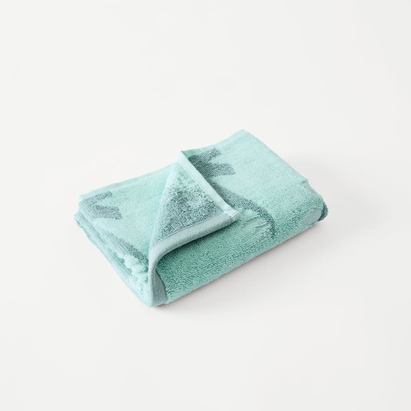 Stegosaurus Aqua Towel Range