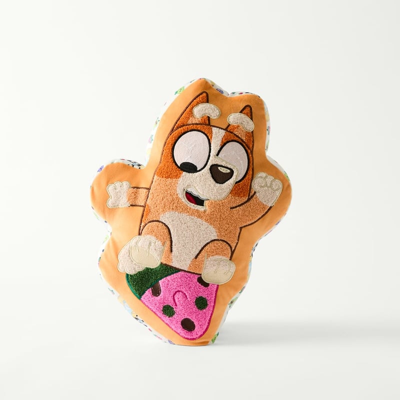 Bluey Fruity Fun Bingo Cushion