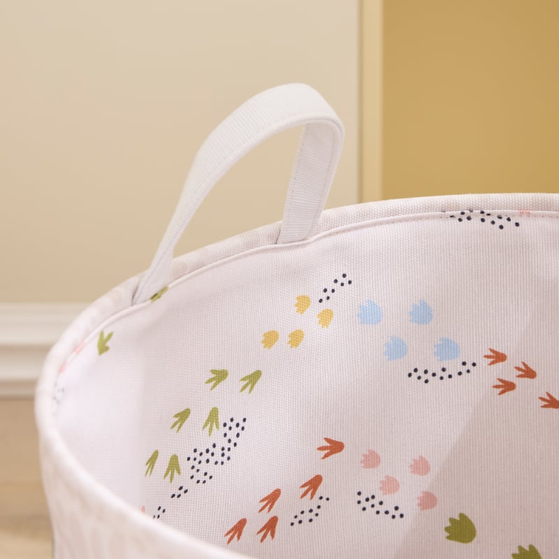 Dino Walk Printed Basket