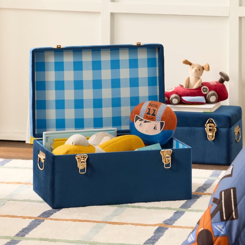Blue Check Storage Trunk