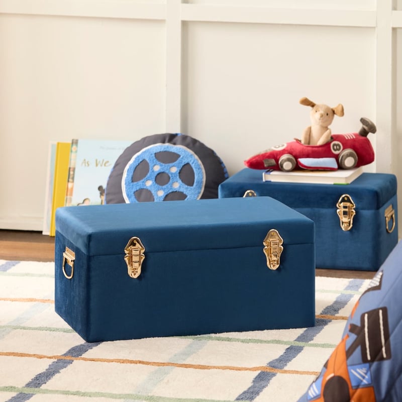 Blue Check Storage Trunk