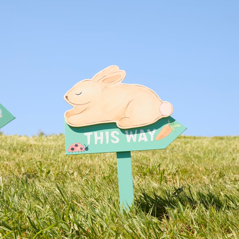 Easter Hunt Signs Pack of 5