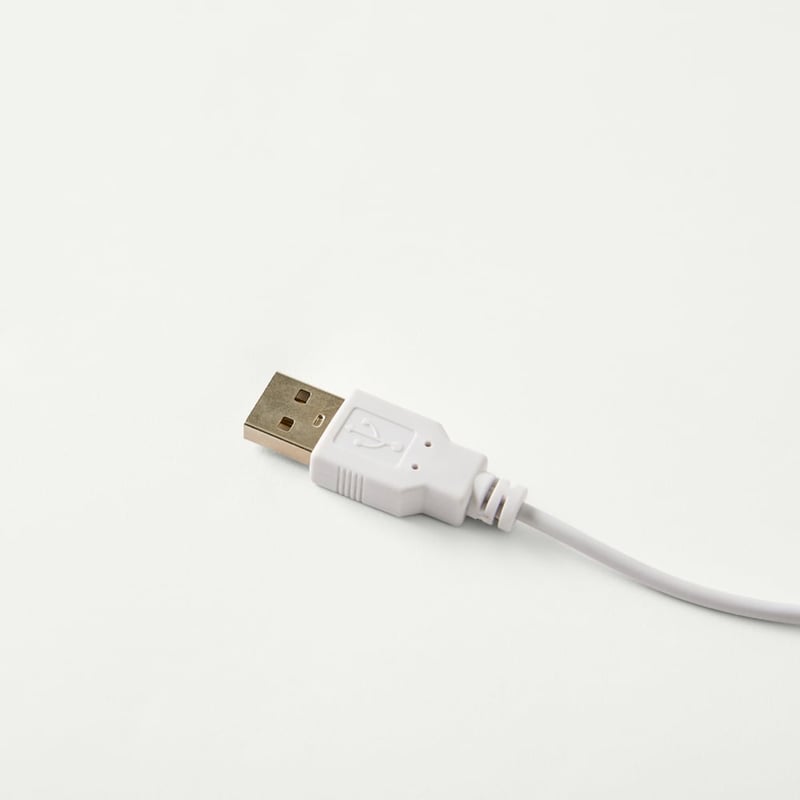 Fleur Harris Cockatoo USB Night Light