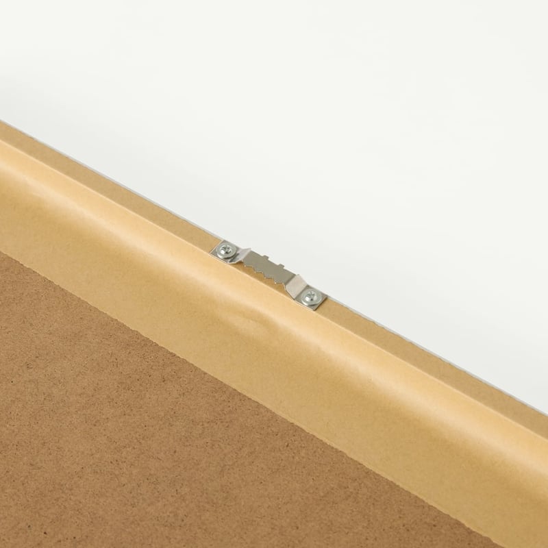 Fleur Harris Australian Friends Wall Art