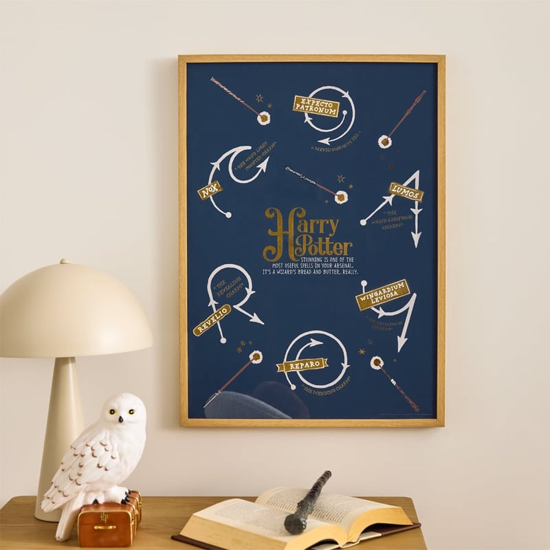 Harry Potter Wands & Spells Wall Art