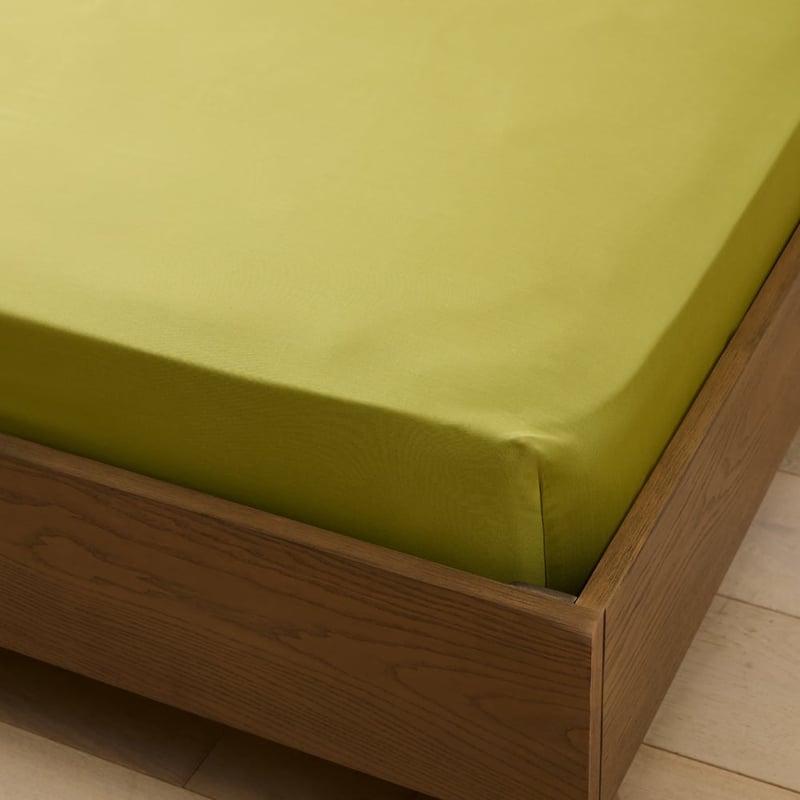 Worlds Softest Cotton Bayleaf Sheet Set 