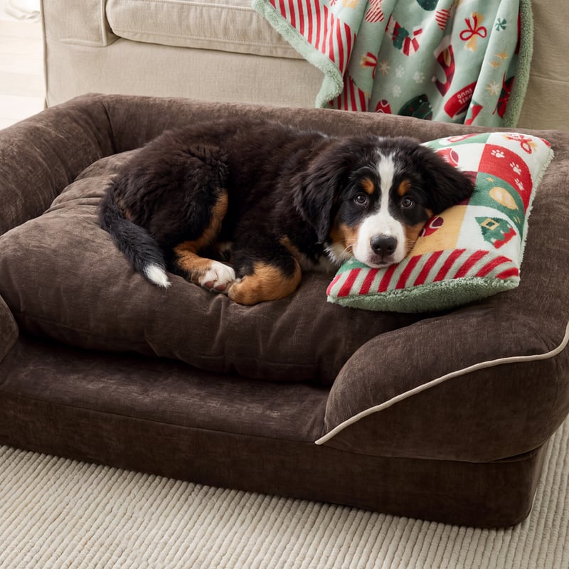 Santa Paws Green Pet Pillow