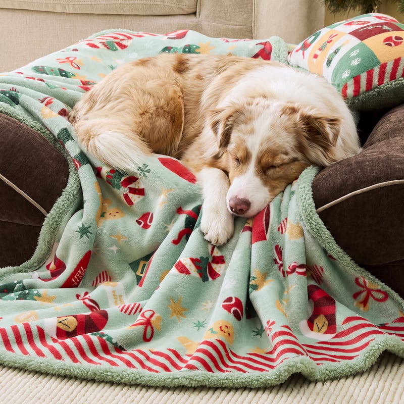 Santa Paws Green Pet Blanket