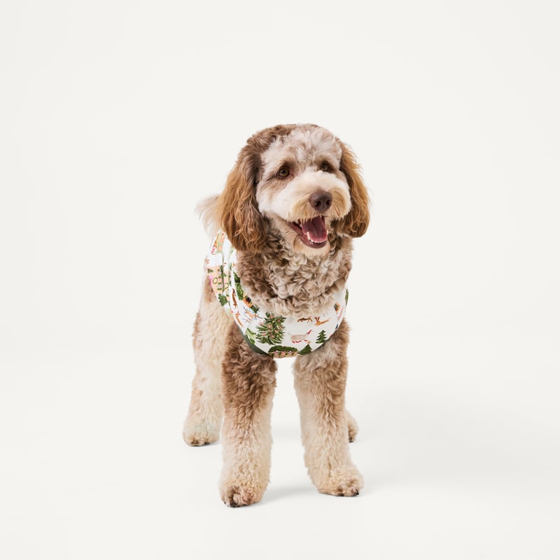 Pet Christmas Village Green Pyjamas