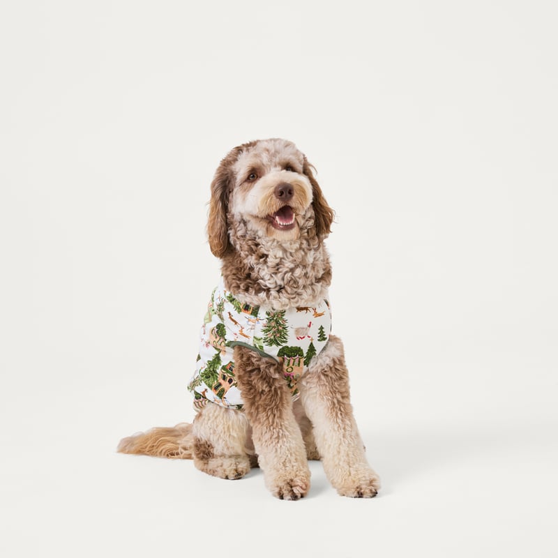 Pet Christmas Village Green Pyjamas