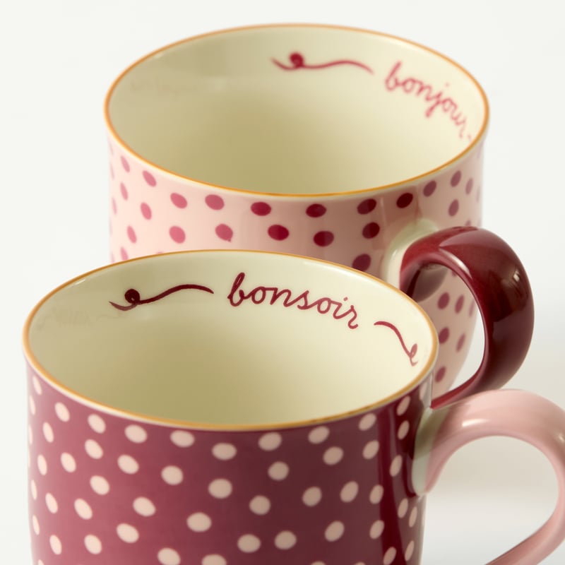 Rose & Burgundy Spot Mug Set of 2