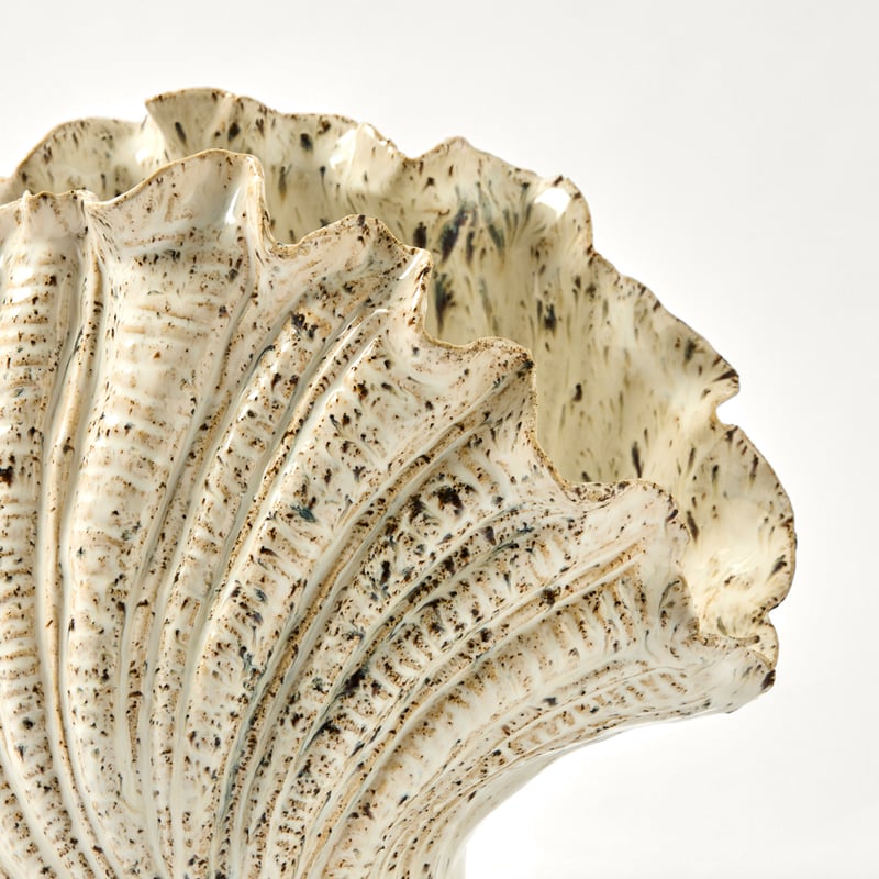 Clam Shell White Textured Sculpture