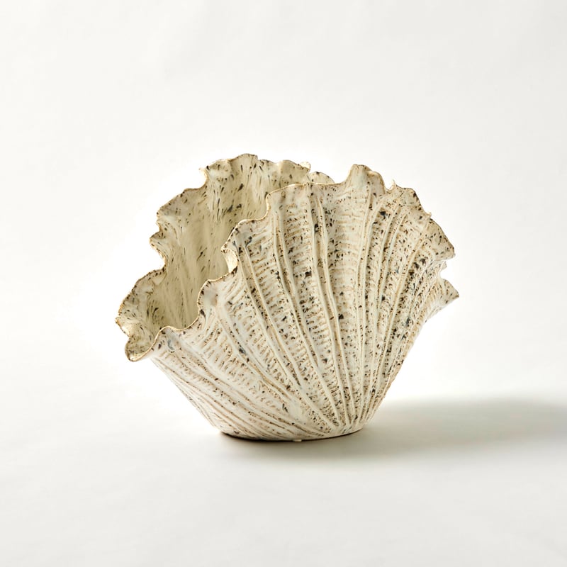 Clam Shell White Textured Sculpture