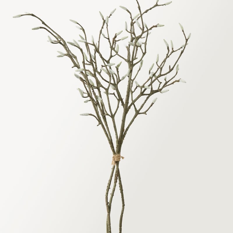 Willow Natural Stem Bunch